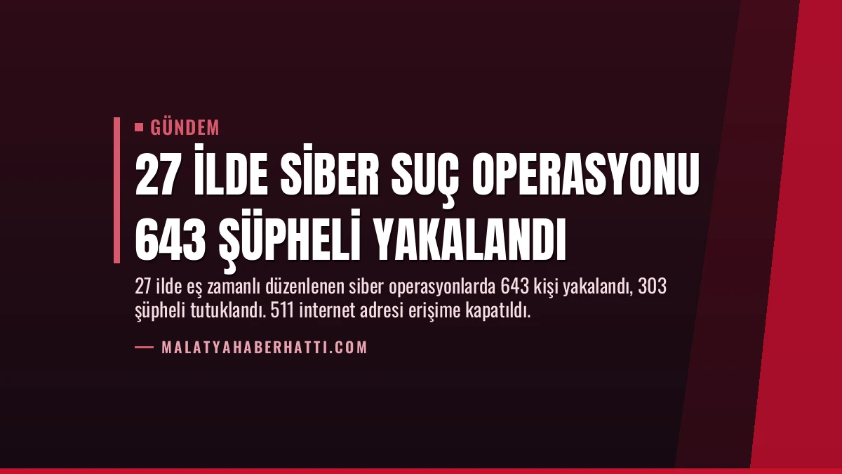 27 İlde Siber Suç Operasyonu 643 Şüpheli Yakalandı