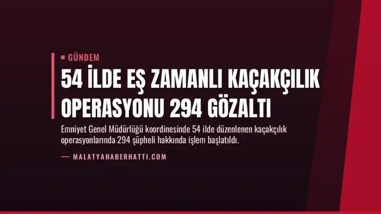 54 İlde Eş Zamanlı Kaçakçılık Operasyonu 294 Gözaltı