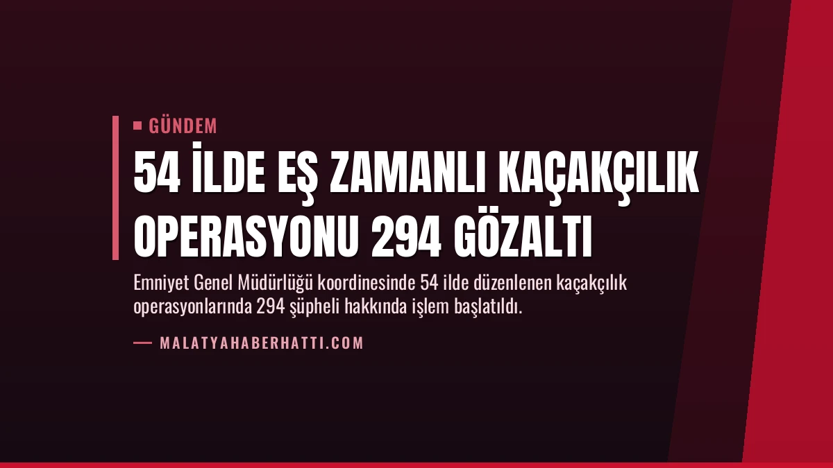 54 İlde Eş Zamanlı Kaçakçılık Operasyonu 294 Gözaltı