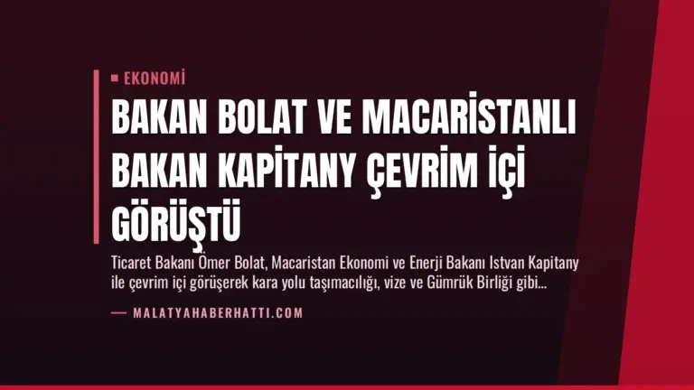 Bakan Bolat ve Macaristanlı Bakan Kapitany Çevrim İçi Görüştü