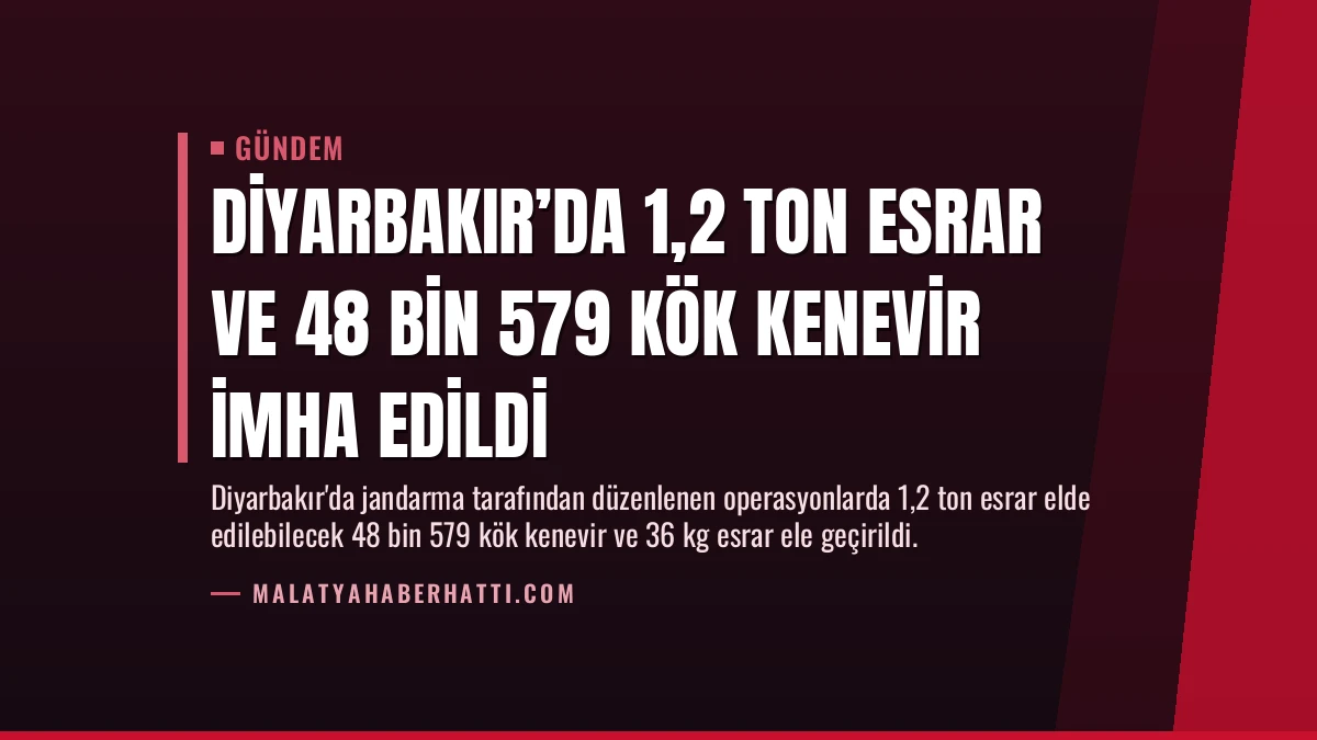Diyarbakır’da 1,2 Ton Esrar ve 48 Bin 579 Kök Kenevir İmha Edildi