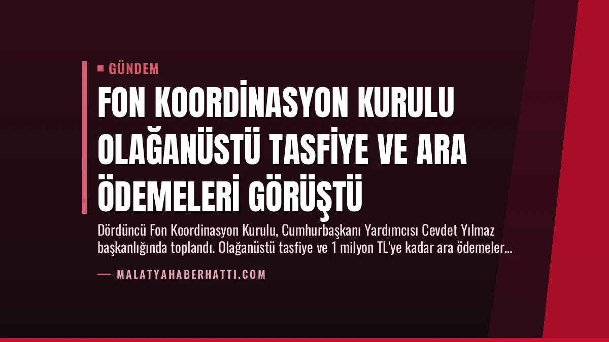 Fon Koordinasyon Kurulu Olağanüstü Tasfiye ve Ara Ödemeleri Görüştü