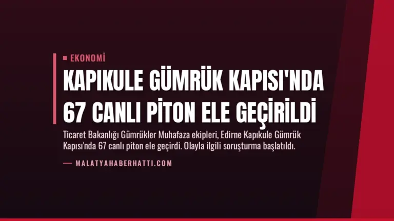 Kapıkule Gümrük Kapısı’nda 67 Canlı Piton Ele Geçirildi