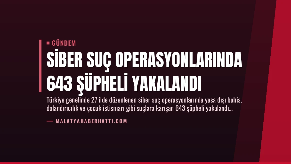 Siber Suç Operasyonlarında 643 Şüpheli Yakalandı