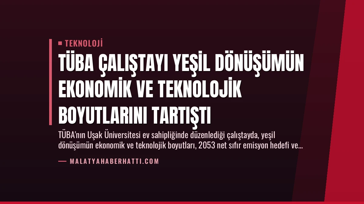 TÜBA Çalıştayı Yeşil Dönüşümün Ekonomik ve Teknolojik Boyutlarını Tartıştı