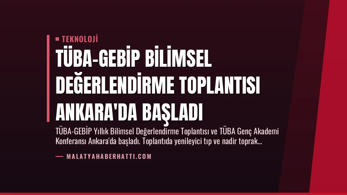 TÜBA-GEBİP Bilimsel Değerlendirme Toplantısı Ankara’da Başladı