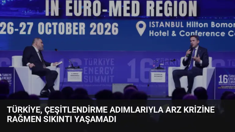 Türkiye, Çeşitlendirme Adımlarıyla Arz Krizine Rağmen Sıkıntı Yaşamadı